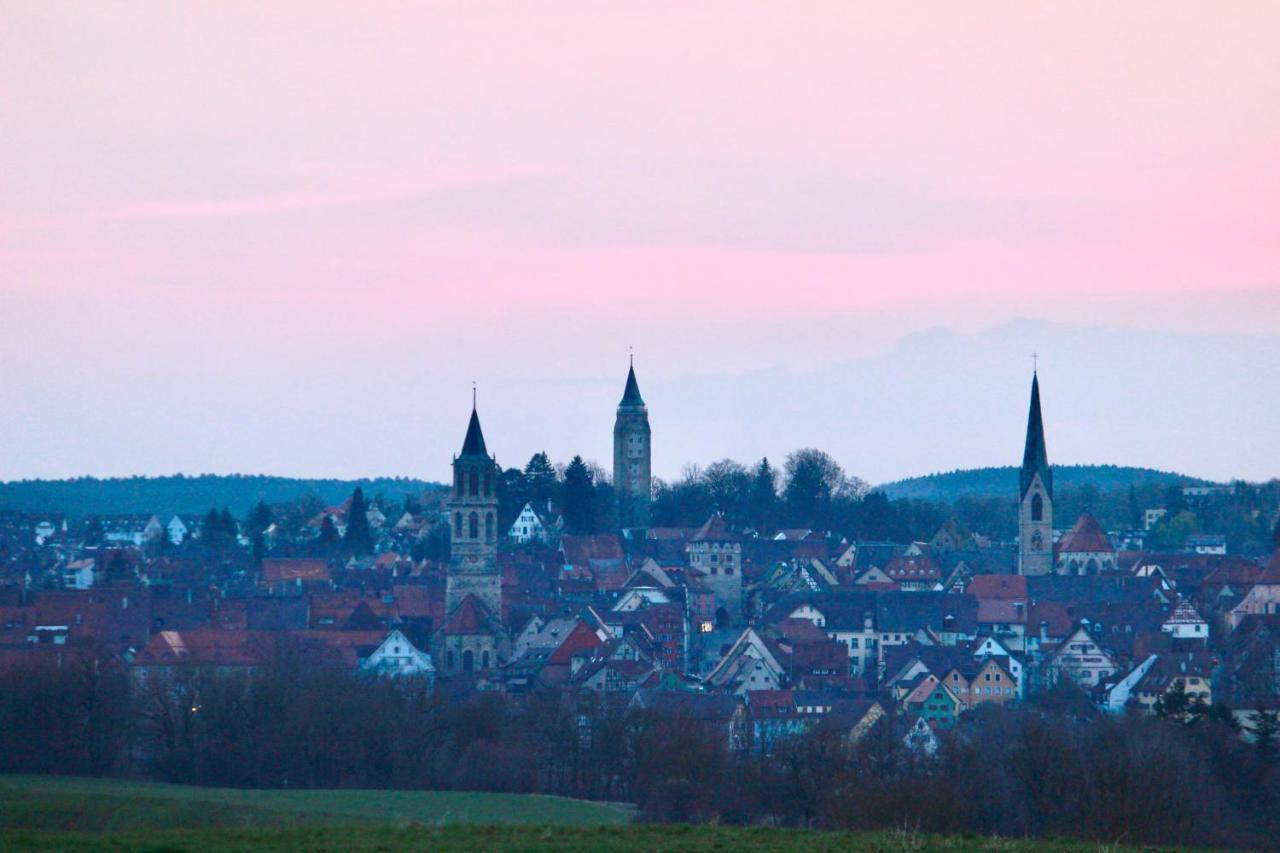 Vier Sind Hier Apartments Rottweil Bagian luar foto